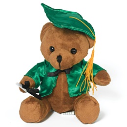 Graduation Teddy Bear - Green